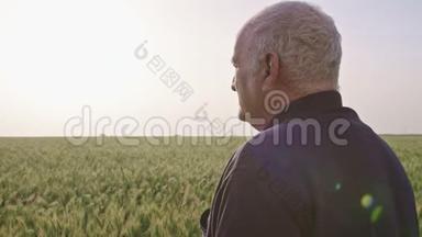 一个<strong>老农</strong>夫在绿色的麦田里散步